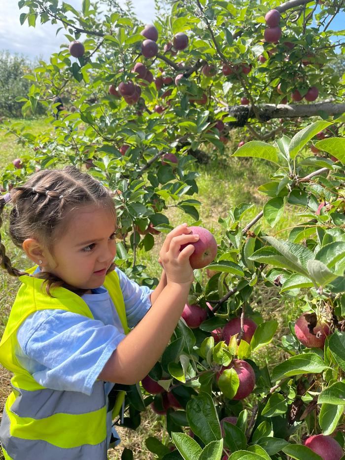 The Children's Center of New Milford, Inc - New Milford, CT