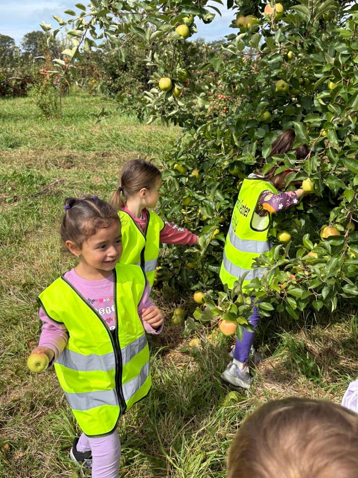 The Children's Center of New Milford, Inc - New Milford, CT