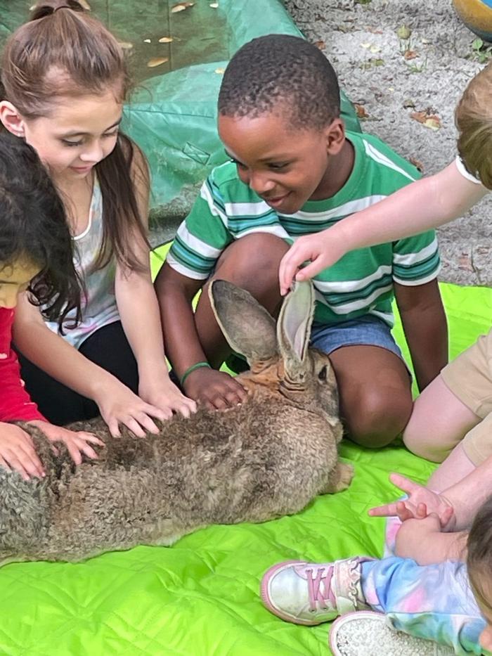 The Children's Center of New Milford, Inc - New Milford, CT