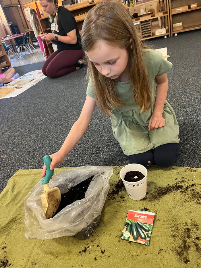 Montessori School of Greater Lafayette - West Lafayette, IN