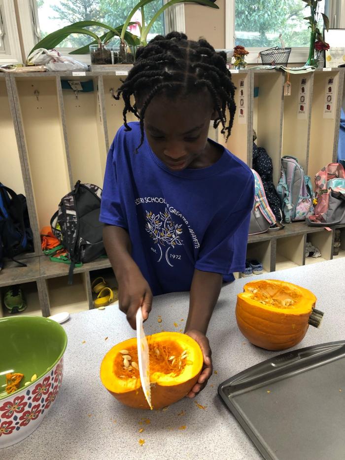 Montessori School of Greater Lafayette - West Lafayette, IN