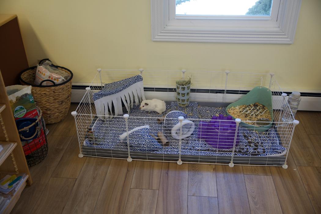 Montessori School of Greater Lafayette - West Lafayette, IN