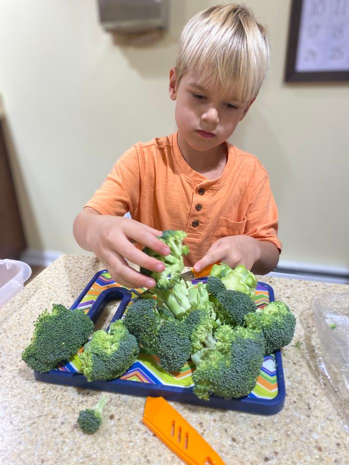 Montessori School of Greater Lafayette - West Lafayette, IN