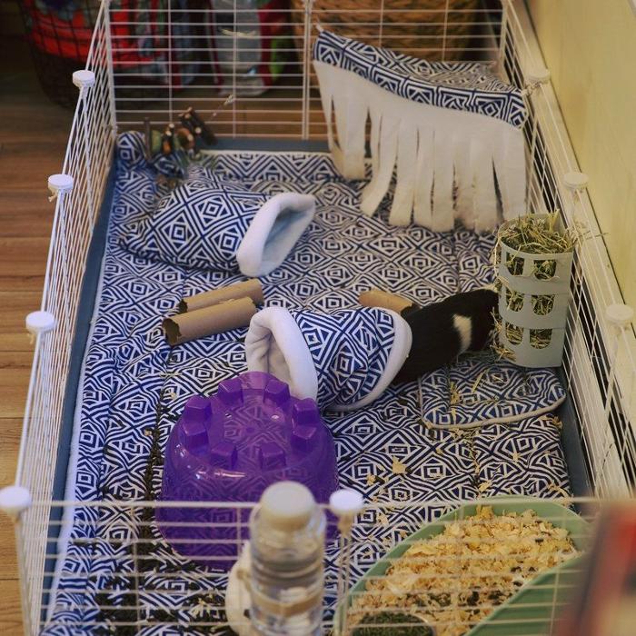 Montessori School of Greater Lafayette - West Lafayette, IN