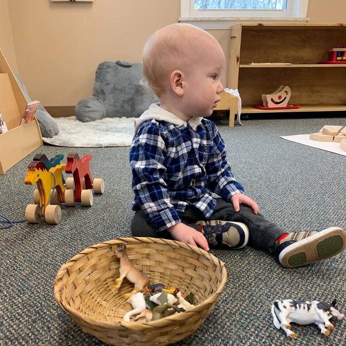 Montessori School of Greater Lafayette - West Lafayette, IN