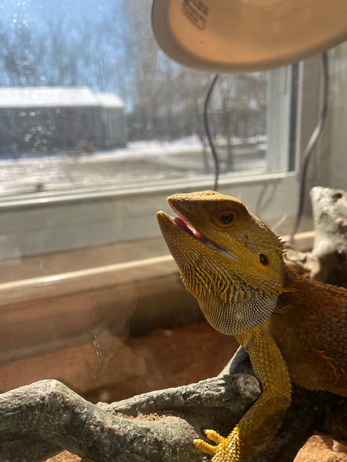 Montessori School of Greater Lafayette - West Lafayette, IN