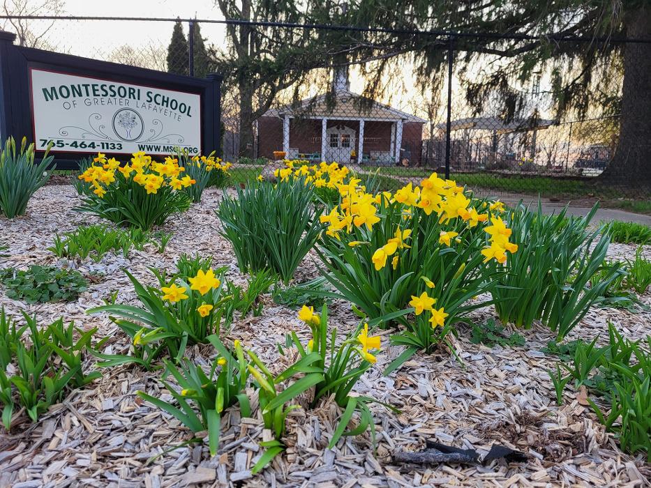 Montessori School of Greater Lafayette - West Lafayette, IN