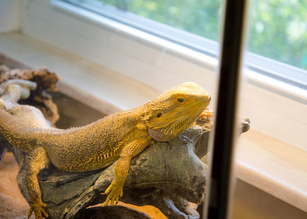 Montessori School of Greater Lafayette - West Lafayette, IN