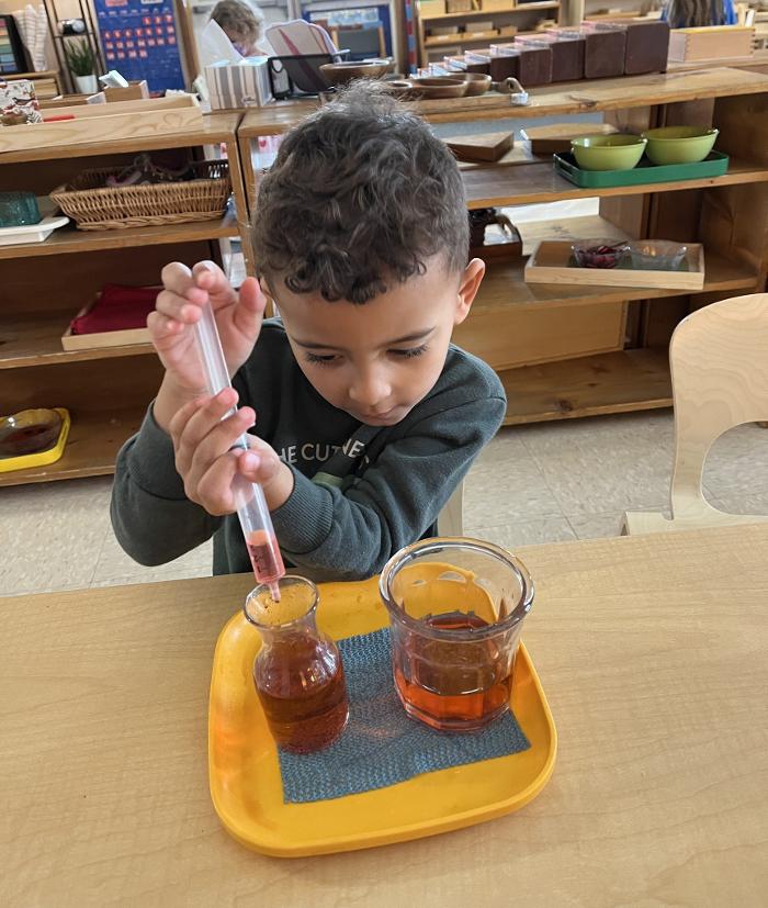 Montessori School of Greater Lafayette - West Lafayette, IN