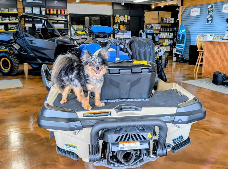 Tims Ford Powersports - Winchester, TN