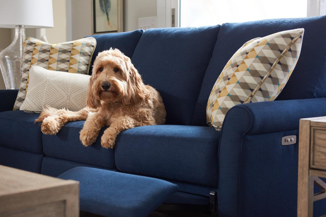 Best-Buy Home Furnishings Image