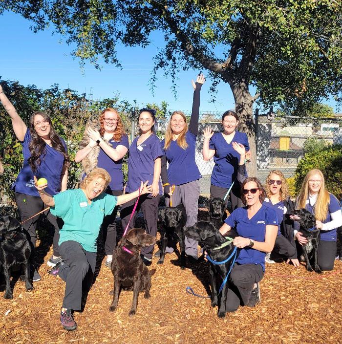 Acorn Hills Animal Center / Amador Veterinary Emergency Clinic - Sutter Creek, CA