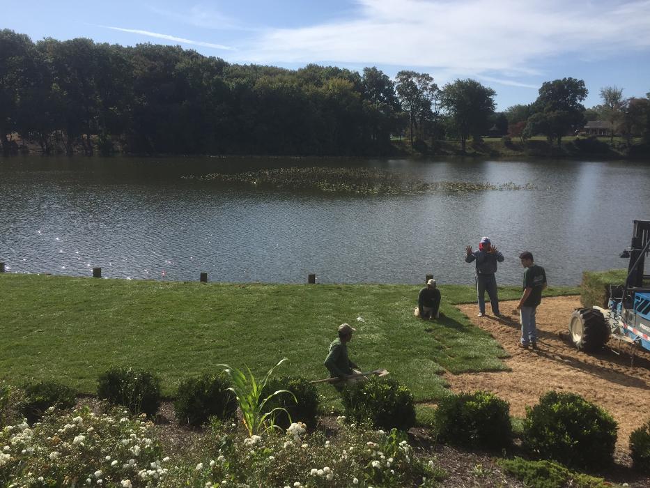 Apgar Turf Farm, Inc. - Smyrna, DE