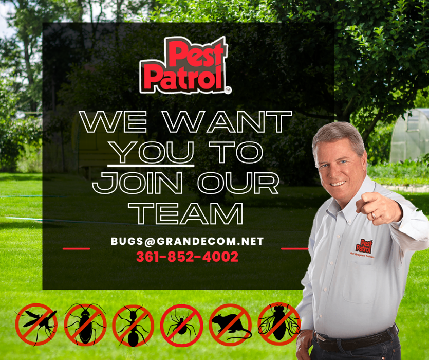 Pest Patrol - Corpus Christi, TX