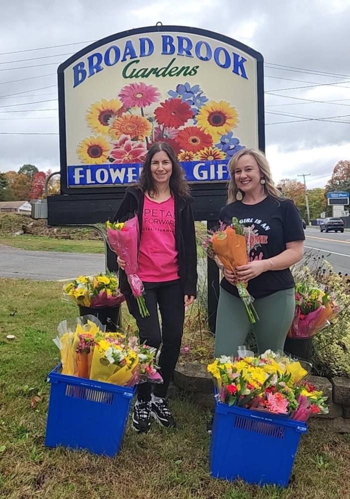 Broad Brook Gardens Image