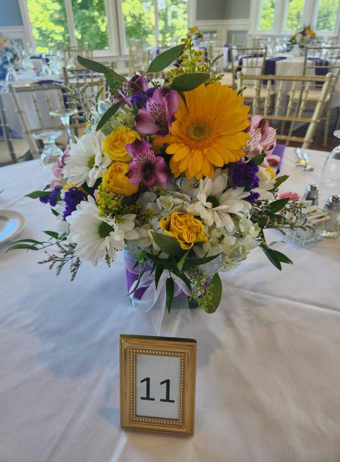 Broad Brook Gardens Image