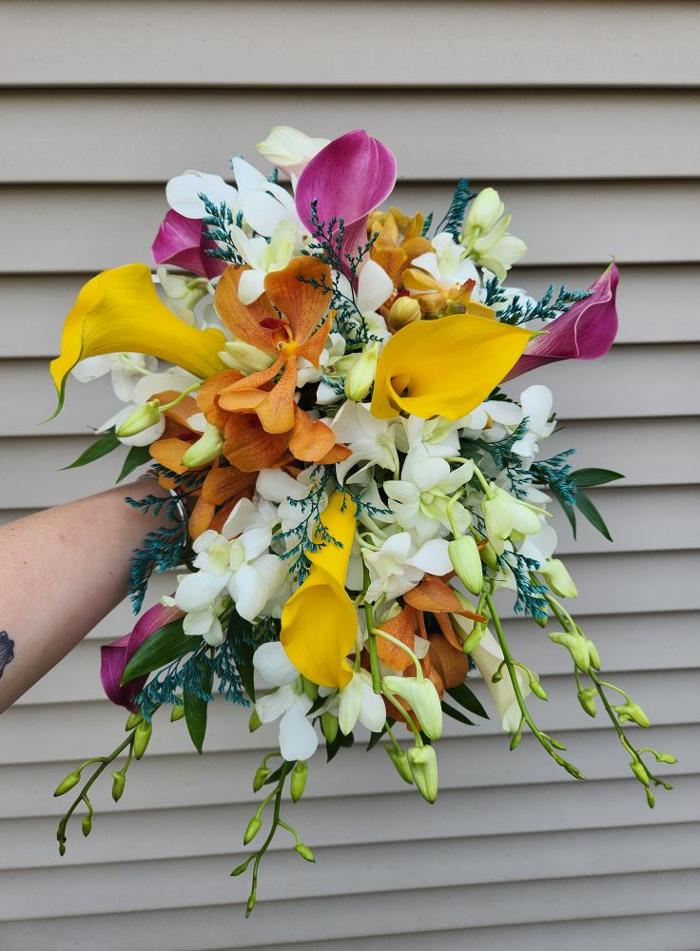 Broad Brook Gardens Image