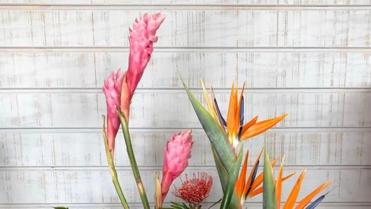 Broad Brook Gardens Image