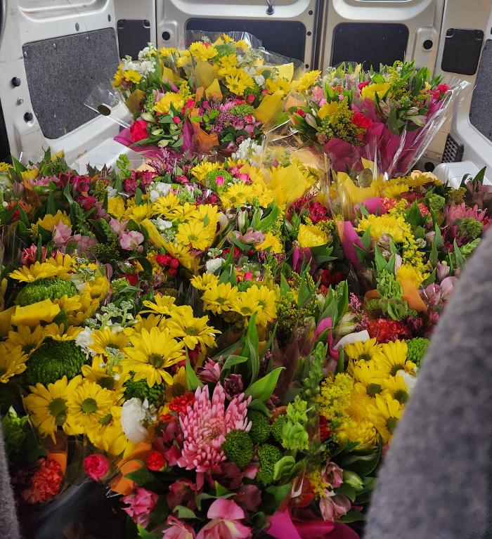 Broad Brook Gardens Image