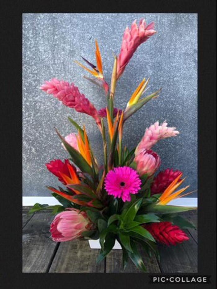 Broad Brook Gardens Image