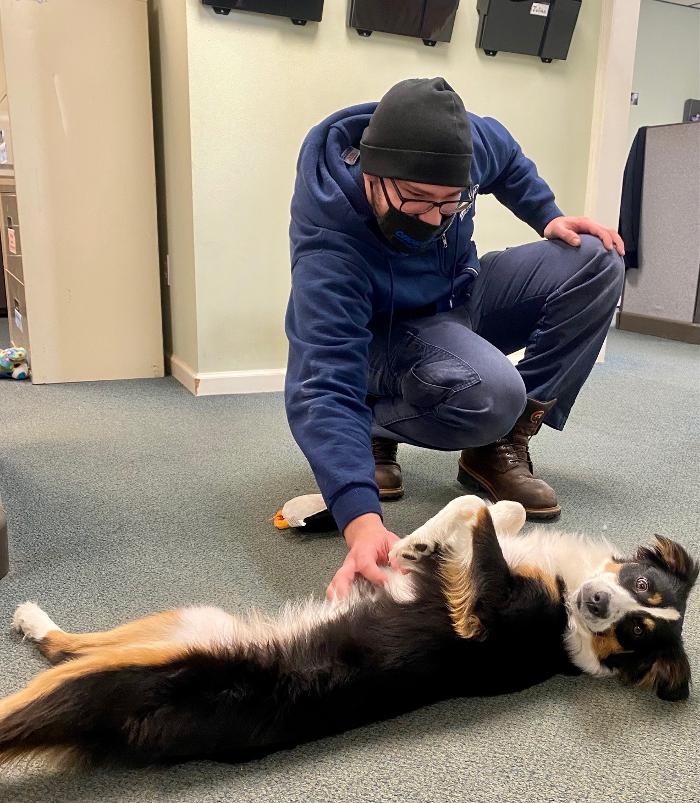 Crossfield Heating & Air Conditioning Image