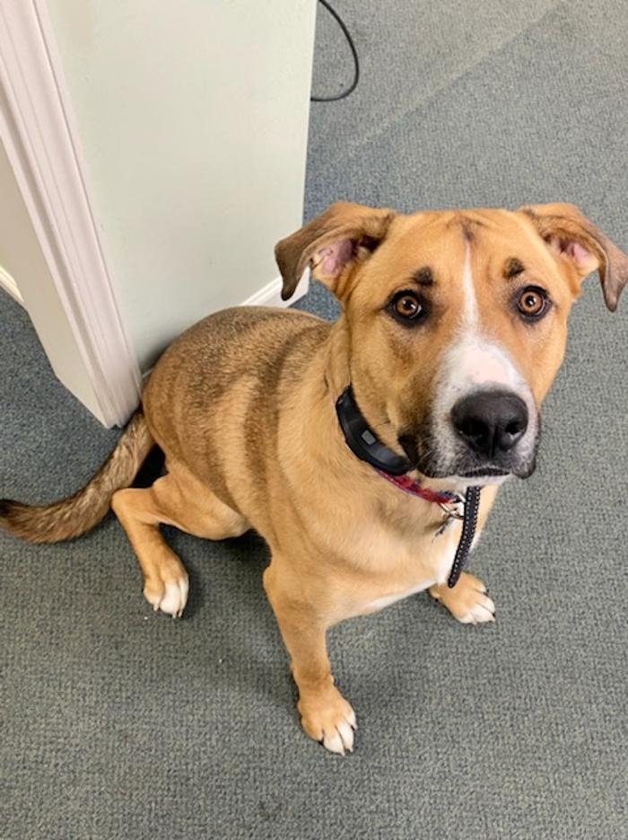 Crossfield Heating & Air Conditioning Image