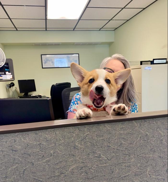 Crossfield Heating & Air Conditioning Image