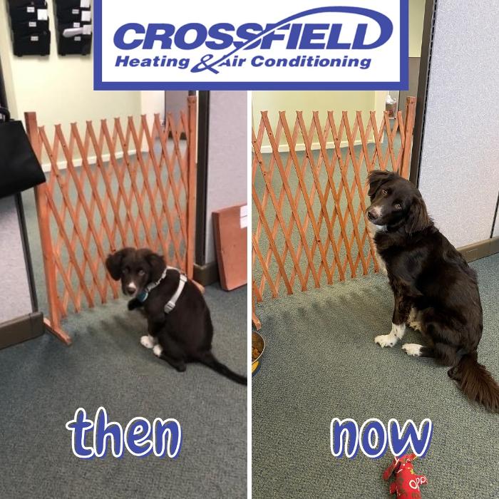 Crossfield Heating & Air Conditioning Image