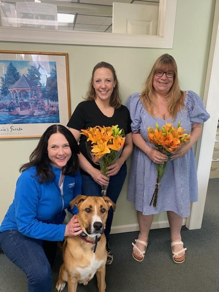 Crossfield Heating & Air Conditioning Image