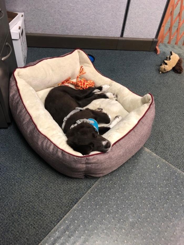 Crossfield Heating & Air Conditioning Image