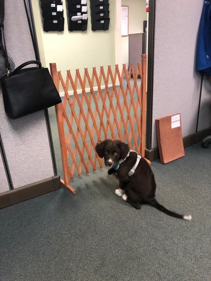 Crossfield Heating & Air Conditioning Image