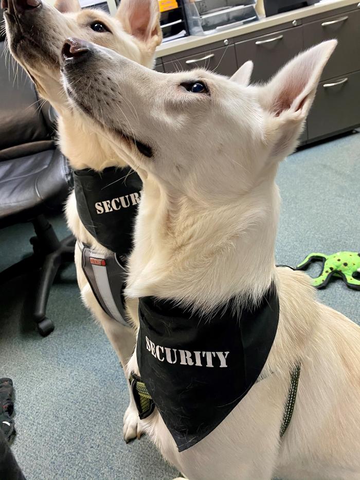 Crossfield Heating & Air Conditioning Image