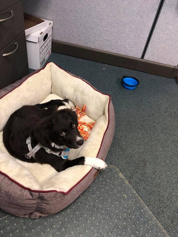 Crossfield Heating & Air Conditioning Image