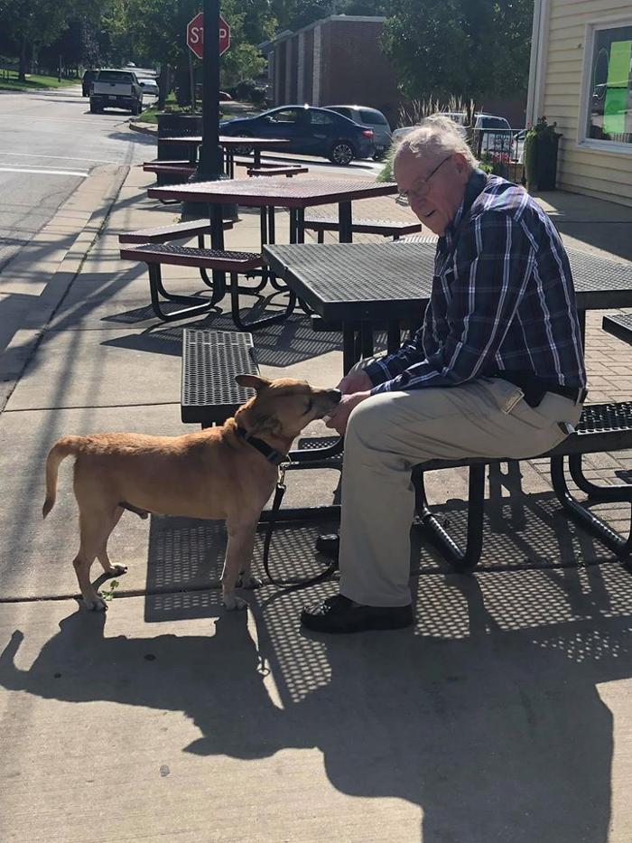 Cool Creations Homemade Ice Cream - Lockport, IL