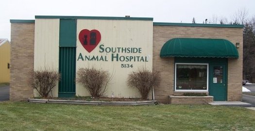 Southside Animal Hospital Lansing (517)882-6614