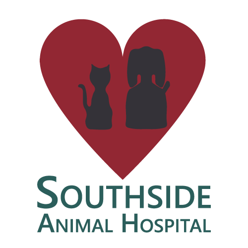 Southside Animal Hospital Lansing (517)882-6614