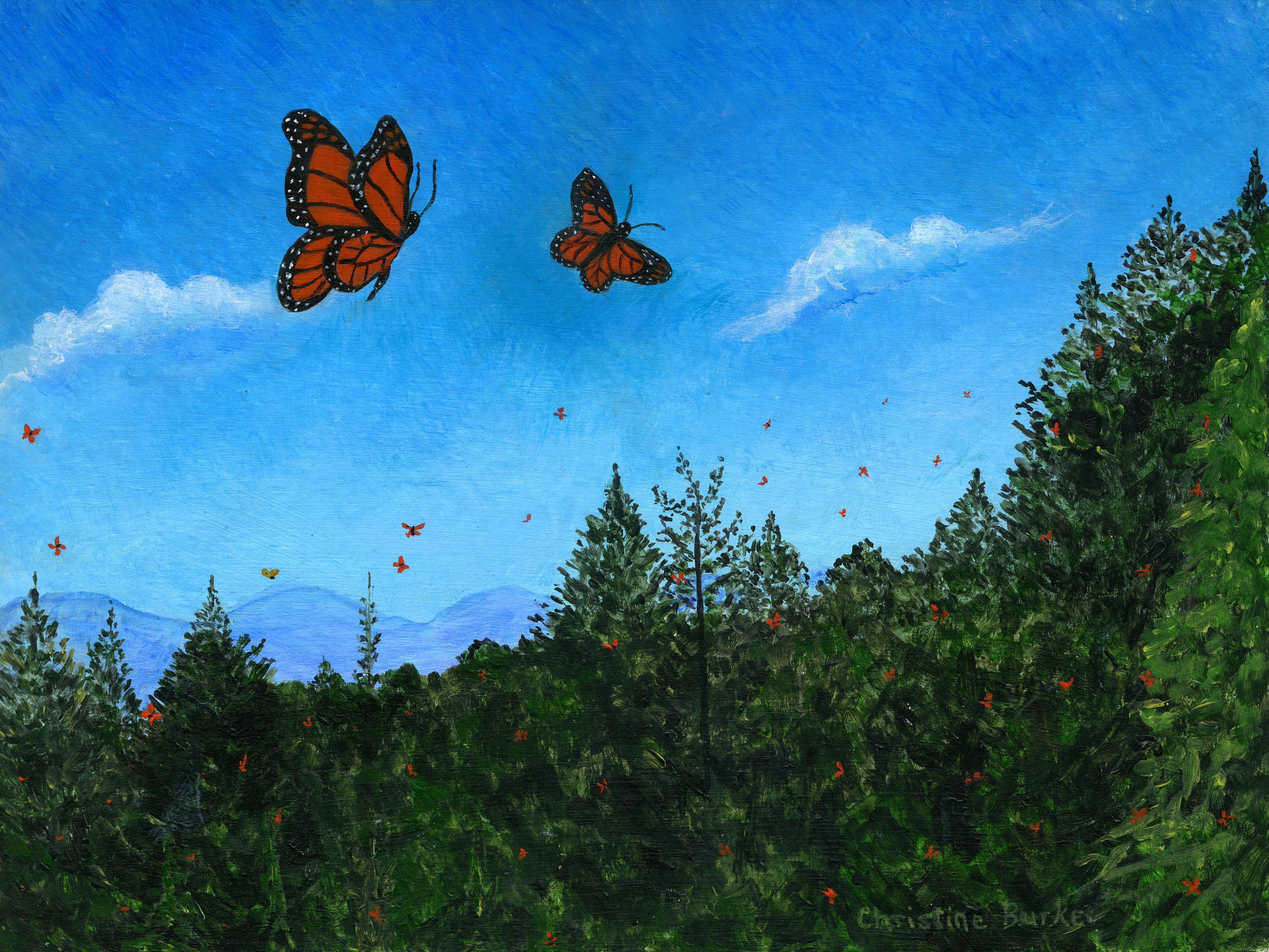 Gallery thumbnail