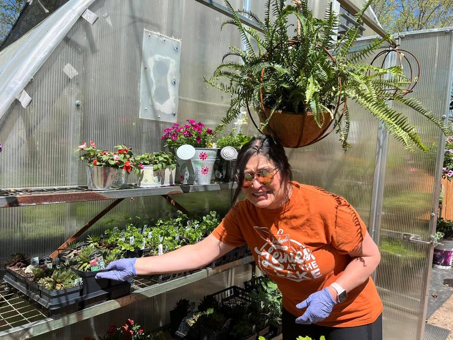 Toboggan Run Dental Image