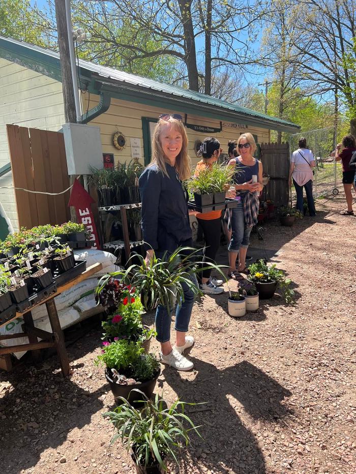 Toboggan Run Dental Image