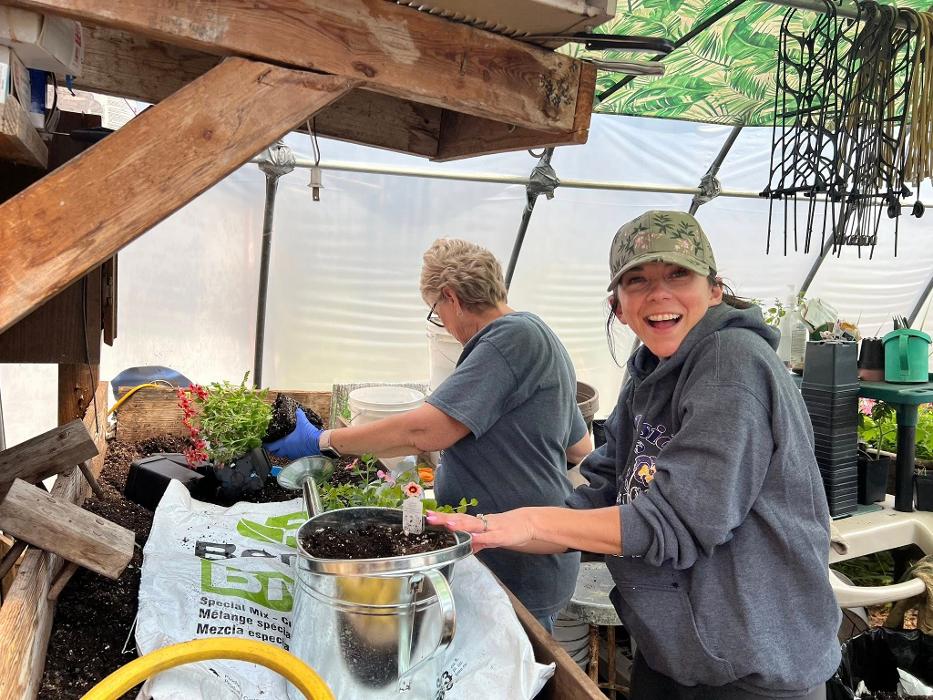 Toboggan Run Dental Image