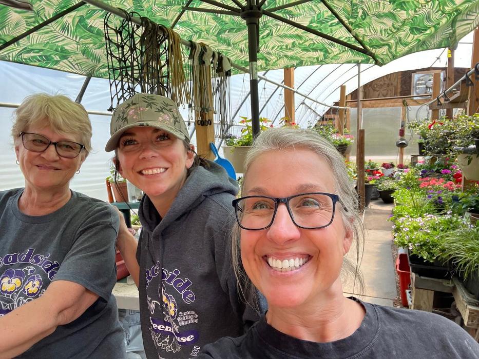 Toboggan Run Dental Image