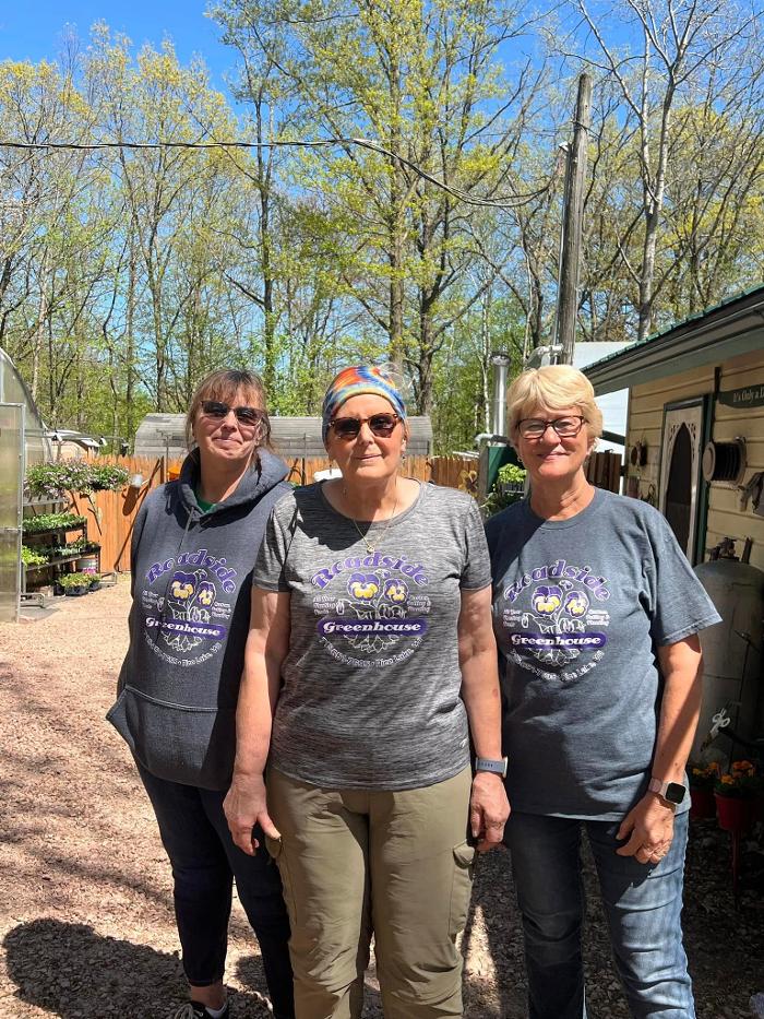 Toboggan Run Dental Image