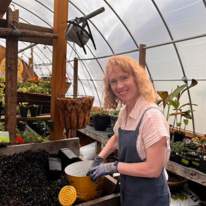 Toboggan Run Dental Image