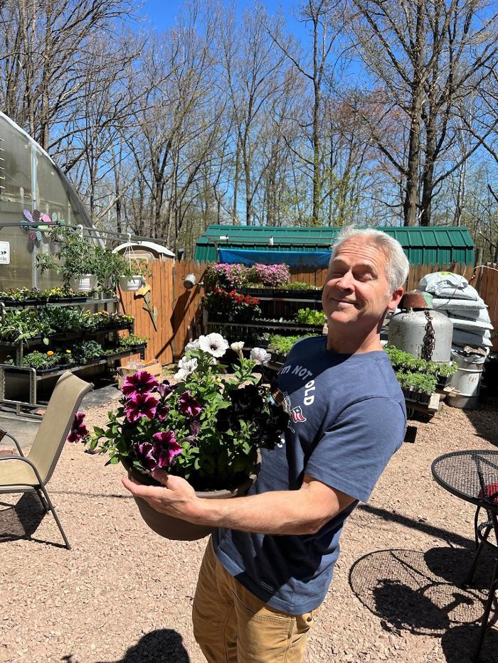 Toboggan Run Dental Image