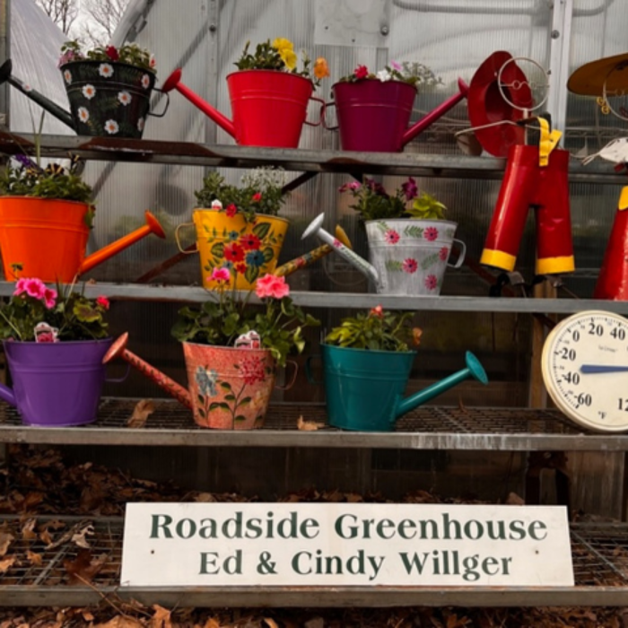 Toboggan Run Dental Image