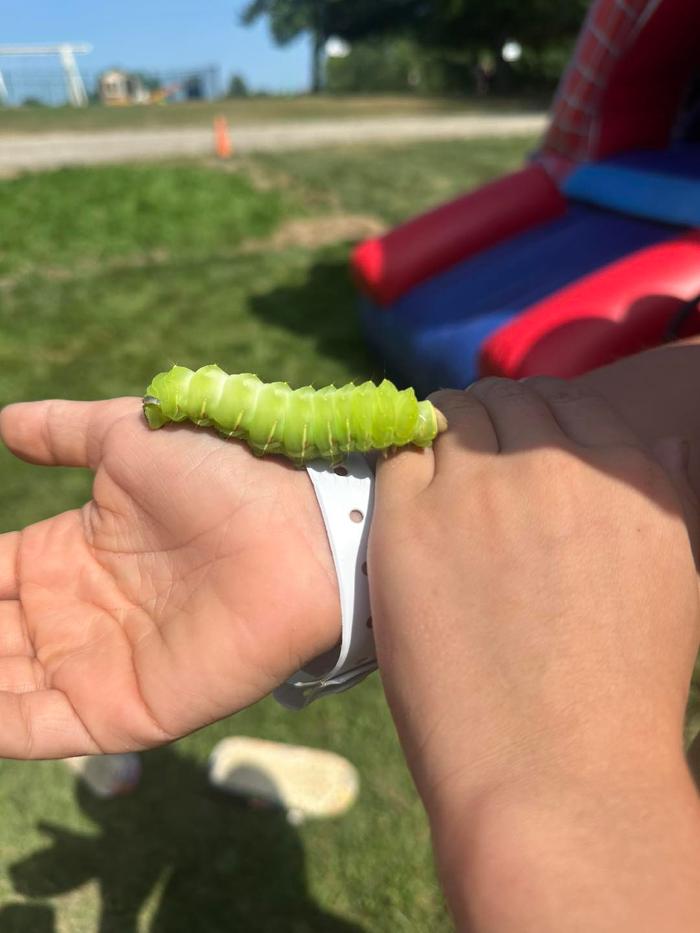 Woodside Lake Park - Streetsboro, OH