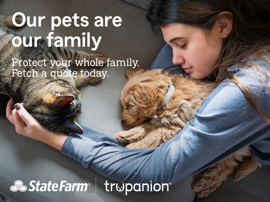 Jay Swindle - State Farm Insurance Agent - Farmington, MI