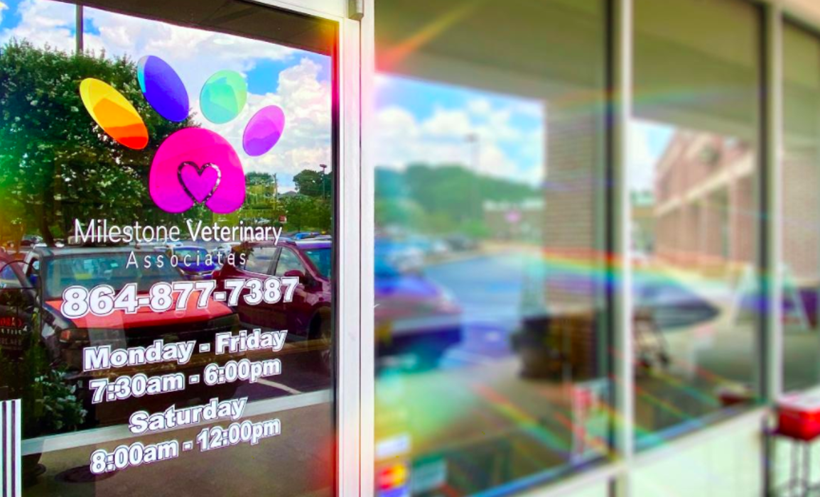 Milestone Veterinary Associates - Greer, SC