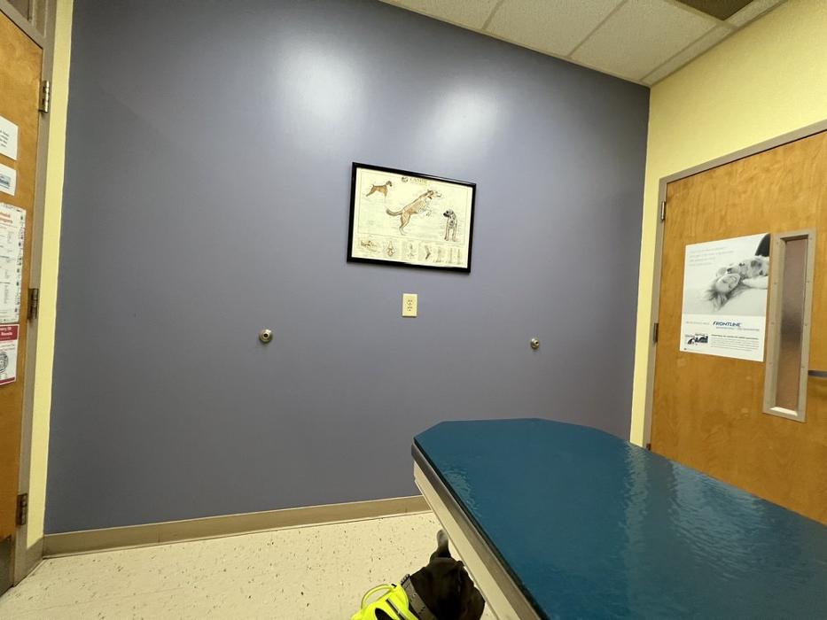 Milestone Veterinary Associates - Greer, SC