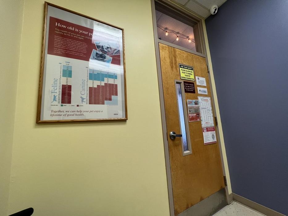 Milestone Veterinary Associates - Greer, SC